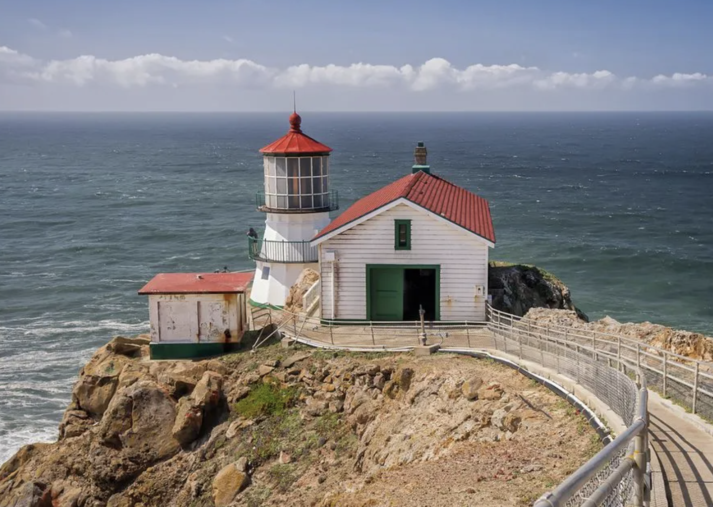 Bakeries and Bioluminescence in Point Reyes